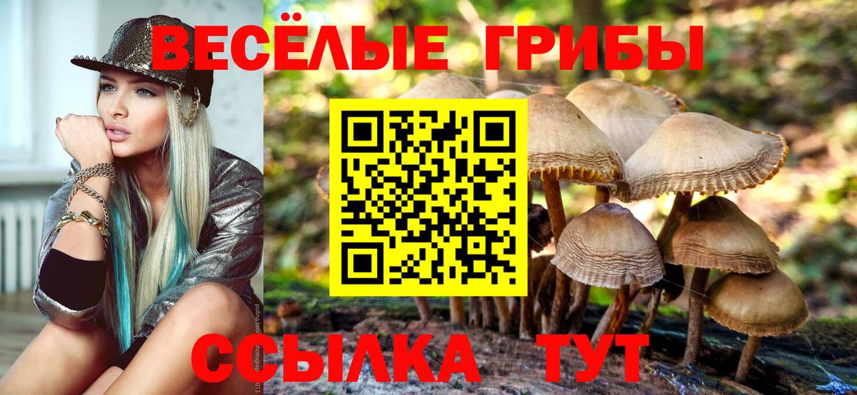 Псилоцибиновые грибы Psilocybine cubensis  Галлюциногенные грибы Psilocybine cubensis  Ивантеевка  Вход с VPN 